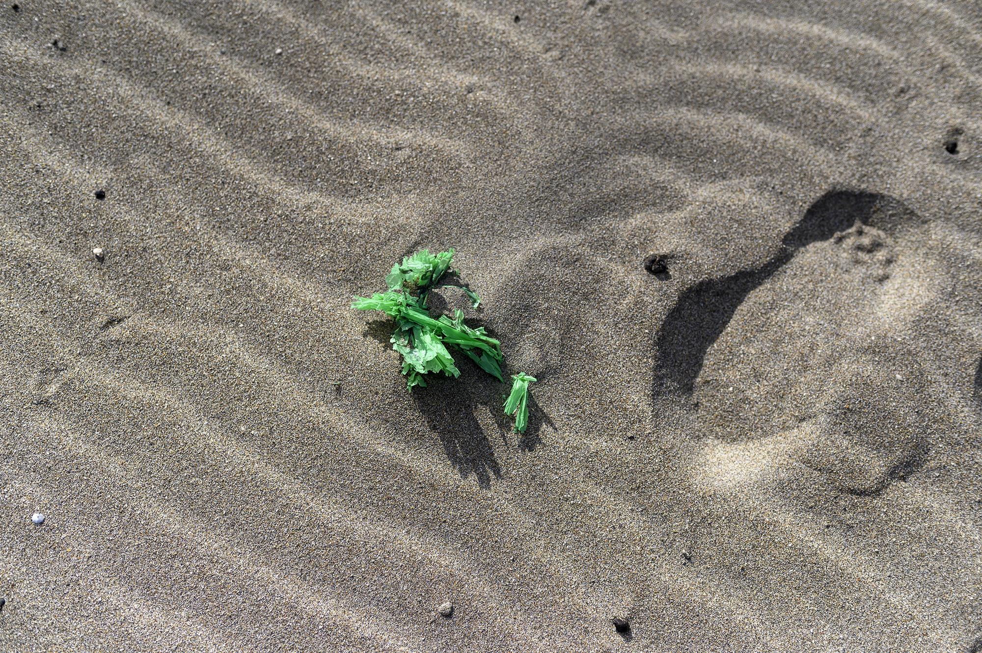 Plástico en la playa